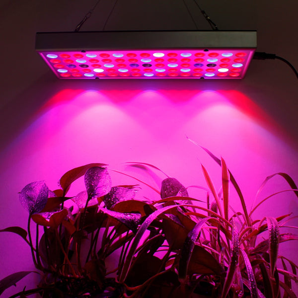 LED Grow Light Full Spectrum Panel