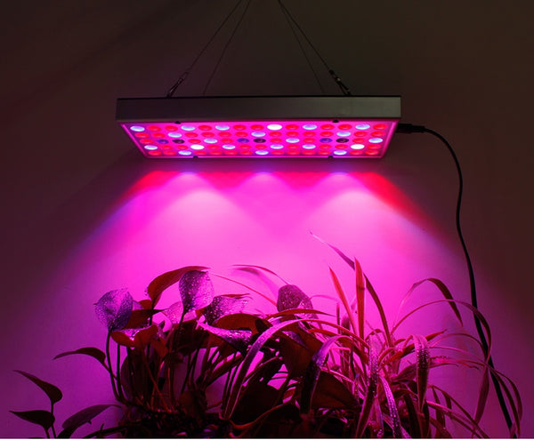 LED Grow Light Full Spectrum Panel