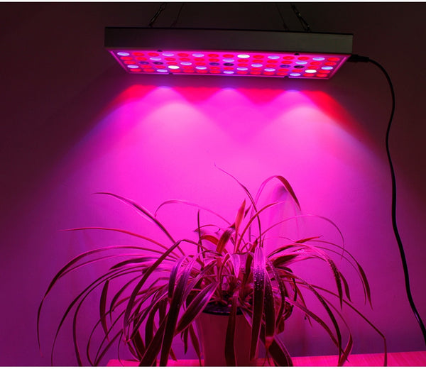 LED Grow Light Full Spectrum Panel