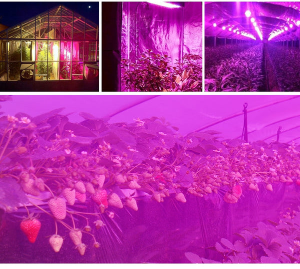 LED Grow Light Full Spectrum Panel