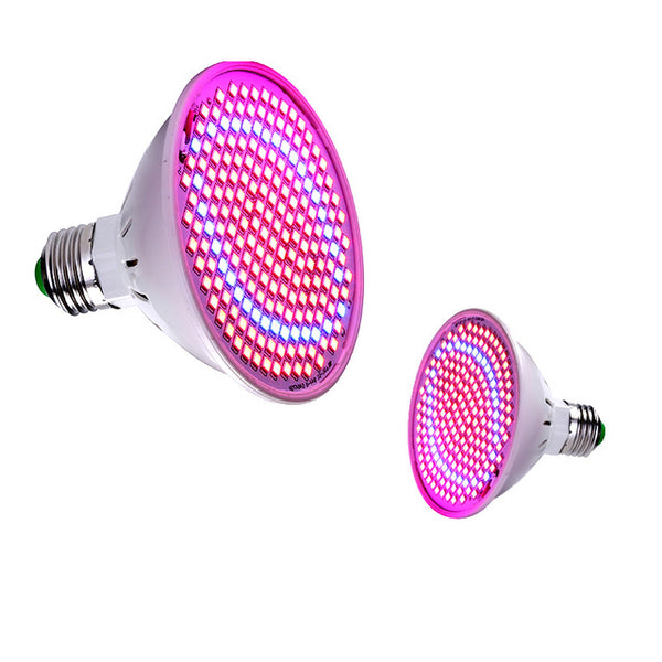 LED Grow Light 5V USB Fitolampy LED Full Spectrum Phyto Lamp Phyto-Lamp For Indoor Vegetable Flower Plant Tent Box Fitolamp