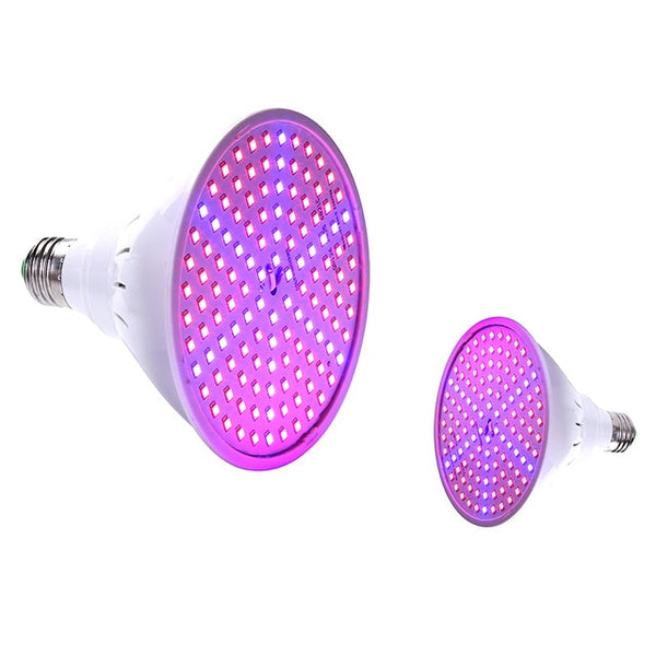 LED Grow Light 5V USB Fitolampy LED Full Spectrum Phyto Lamp Phyto-Lamp For Indoor Vegetable Flower Plant Tent Box Fitolamp