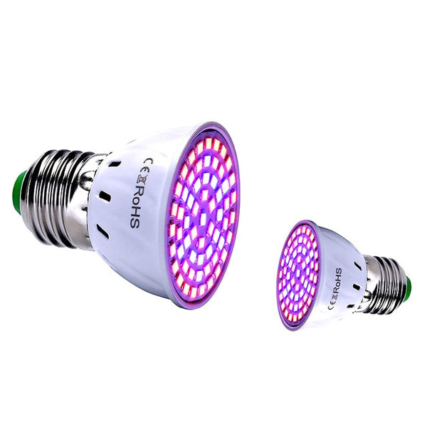 LED Grow Light 5V USB Fitolampy LED Full Spectrum Phyto Lamp Phyto-Lamp For Indoor Vegetable Flower Plant Tent Box Fitolamp